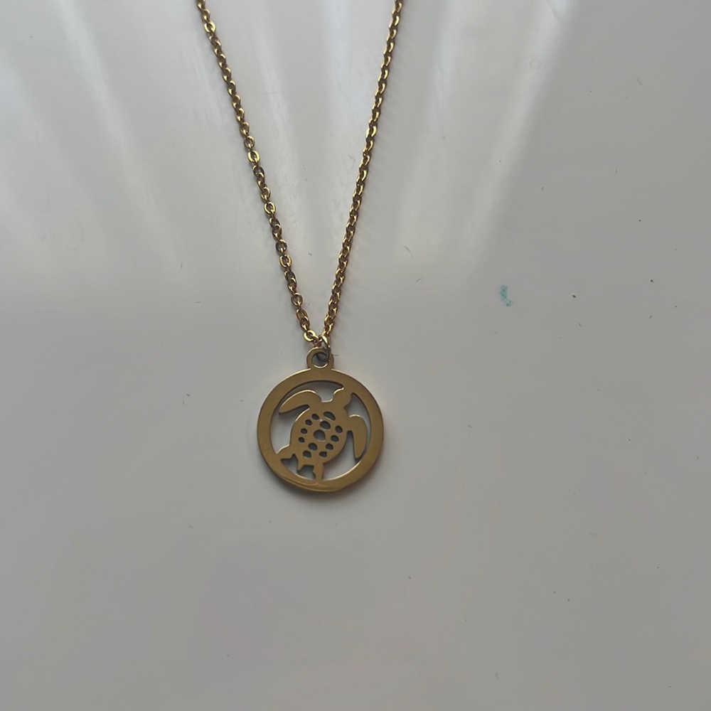 Turtle necklace.